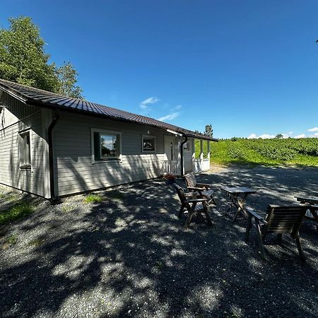 Maatilamatkailu Jaenisvaara Kolinkylä Esterno foto