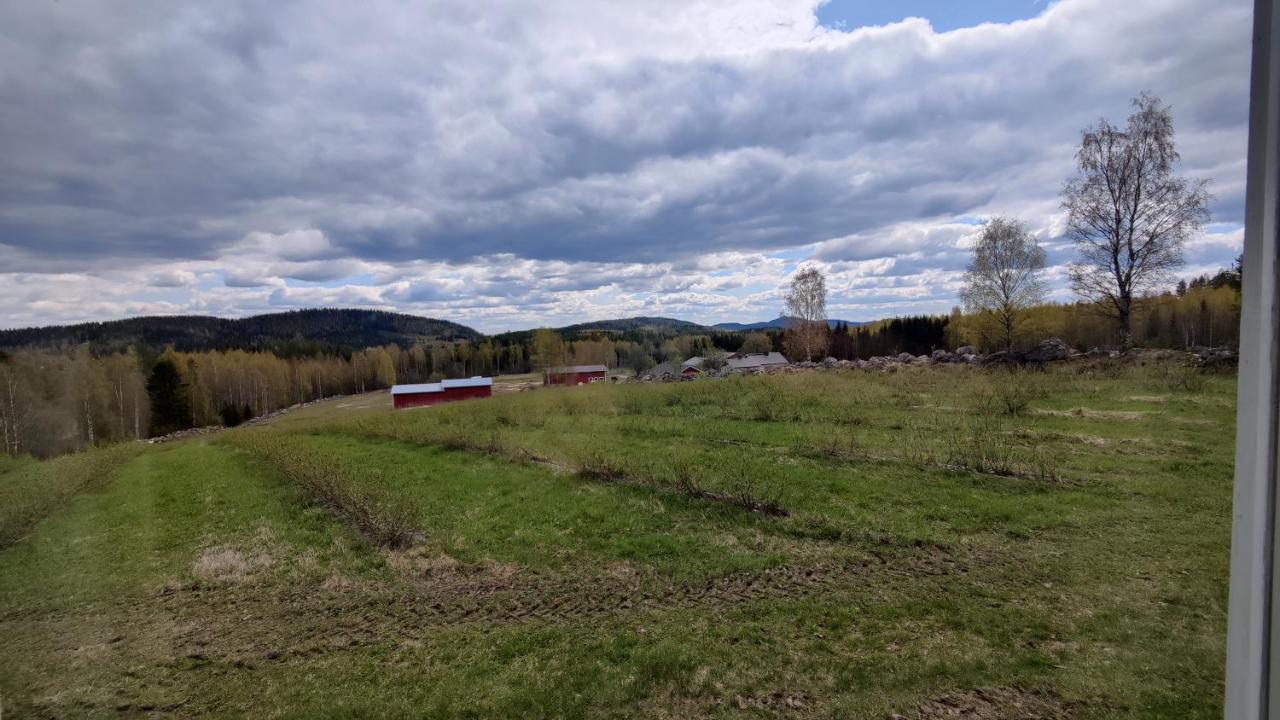 Maatilamatkailu Jaenisvaara Kolinkylä Esterno foto