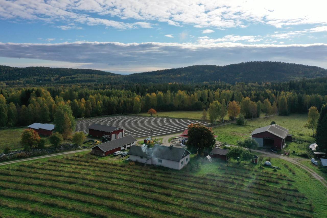 Maatilamatkailu Jaenisvaara Kolinkylä Esterno foto