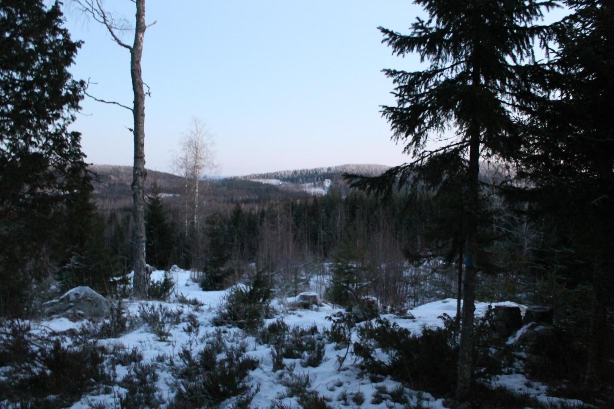 Maatilamatkailu Jaenisvaara Kolinkylä Camera foto