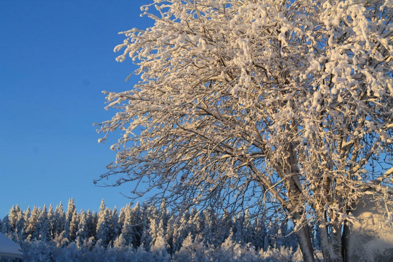 Maatilamatkailu Jaenisvaara Kolinkylä Esterno foto