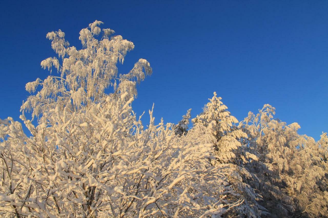 Maatilamatkailu Jaenisvaara Kolinkylä Esterno foto