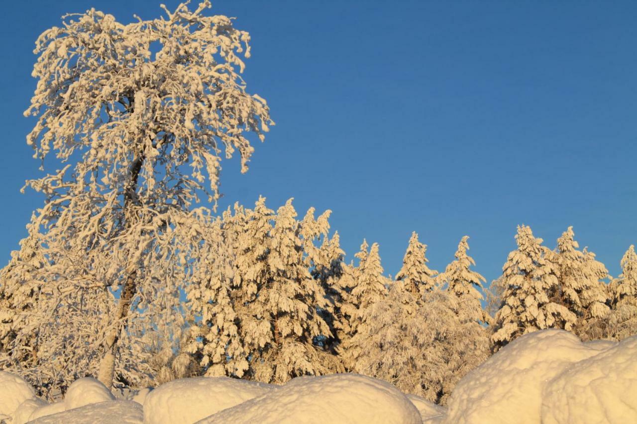 Maatilamatkailu Jaenisvaara Kolinkylä Esterno foto