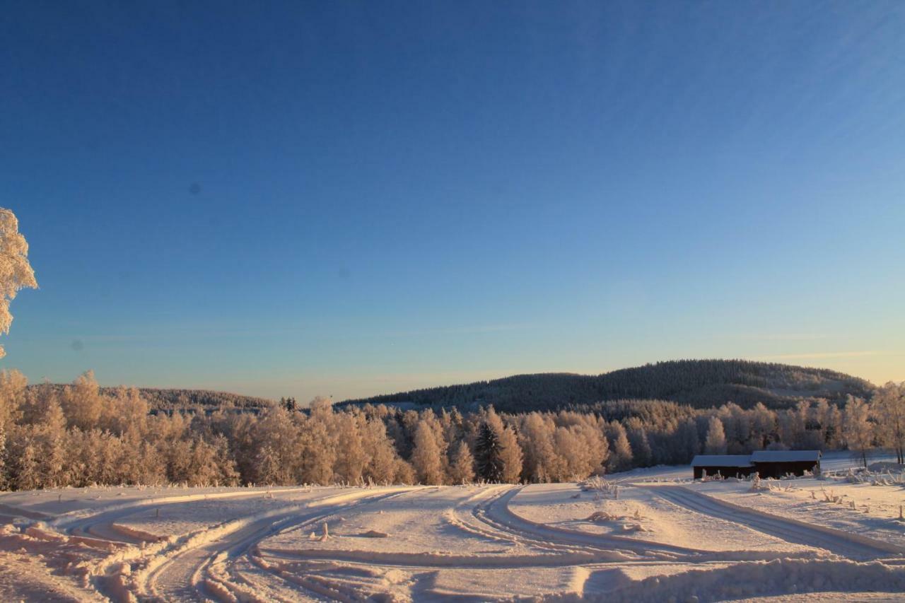 Maatilamatkailu Jaenisvaara Kolinkylä Esterno foto