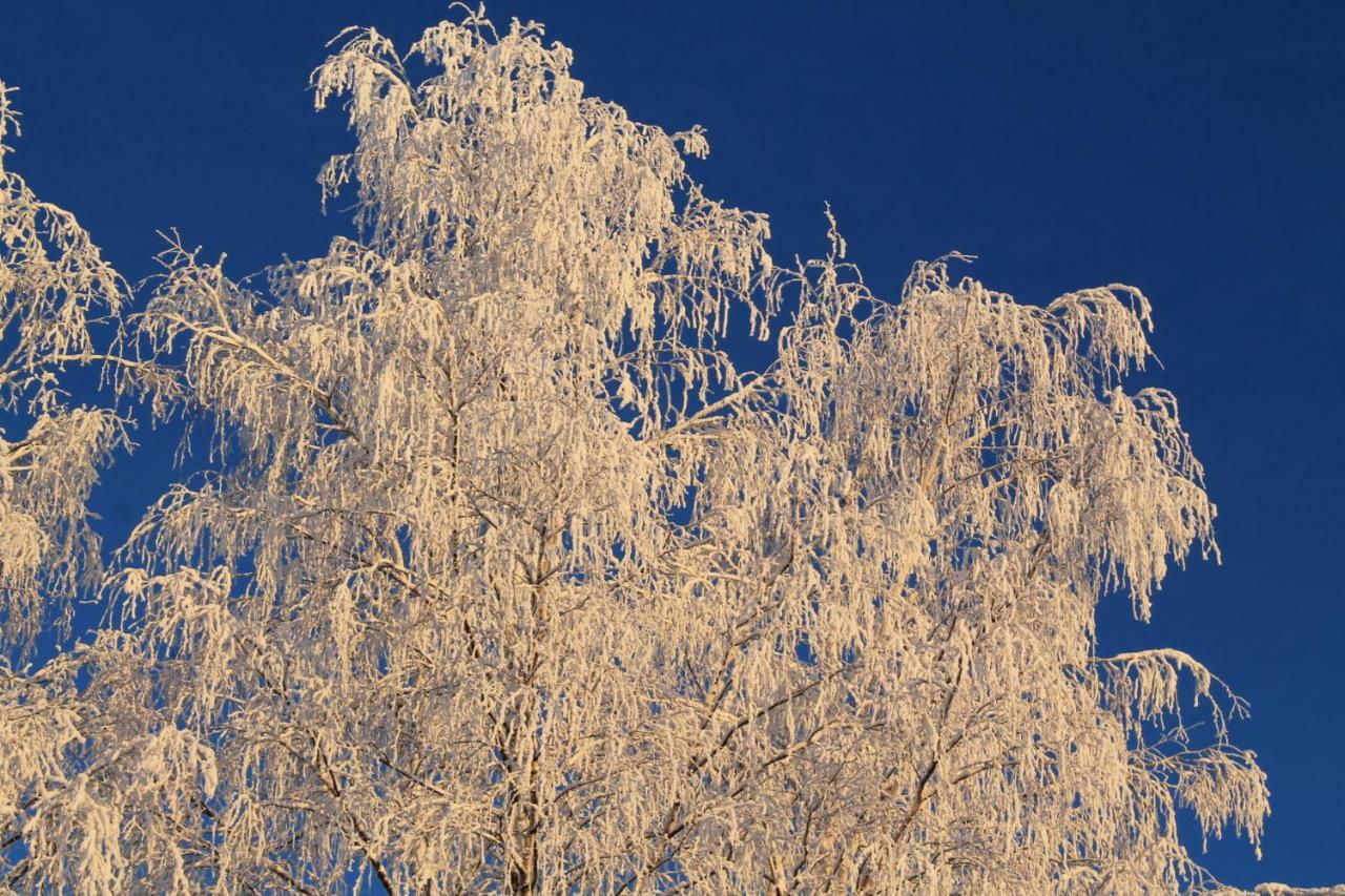 Maatilamatkailu Jaenisvaara Kolinkylä Esterno foto