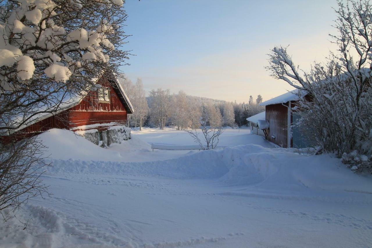 Maatilamatkailu Jaenisvaara Kolinkylä Esterno foto