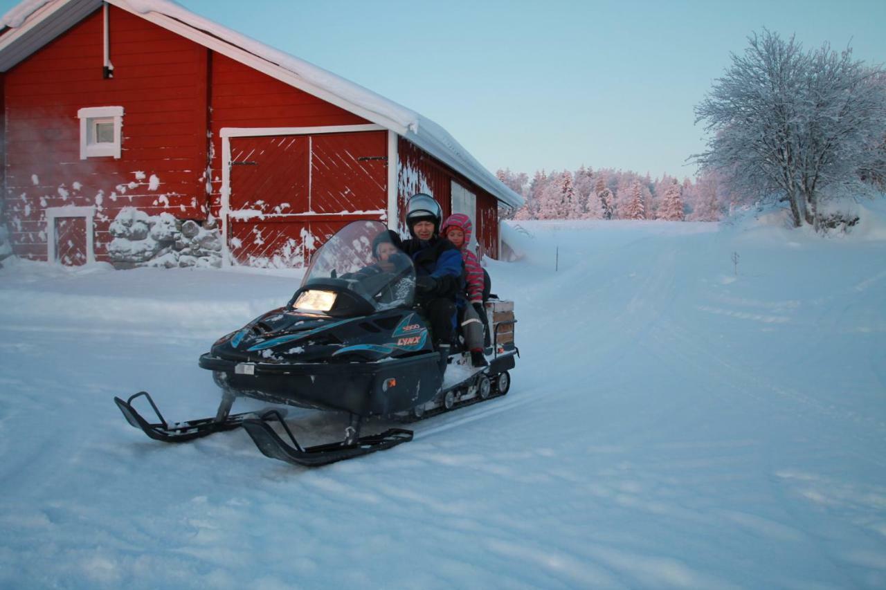 Maatilamatkailu Jaenisvaara Kolinkylä Esterno foto