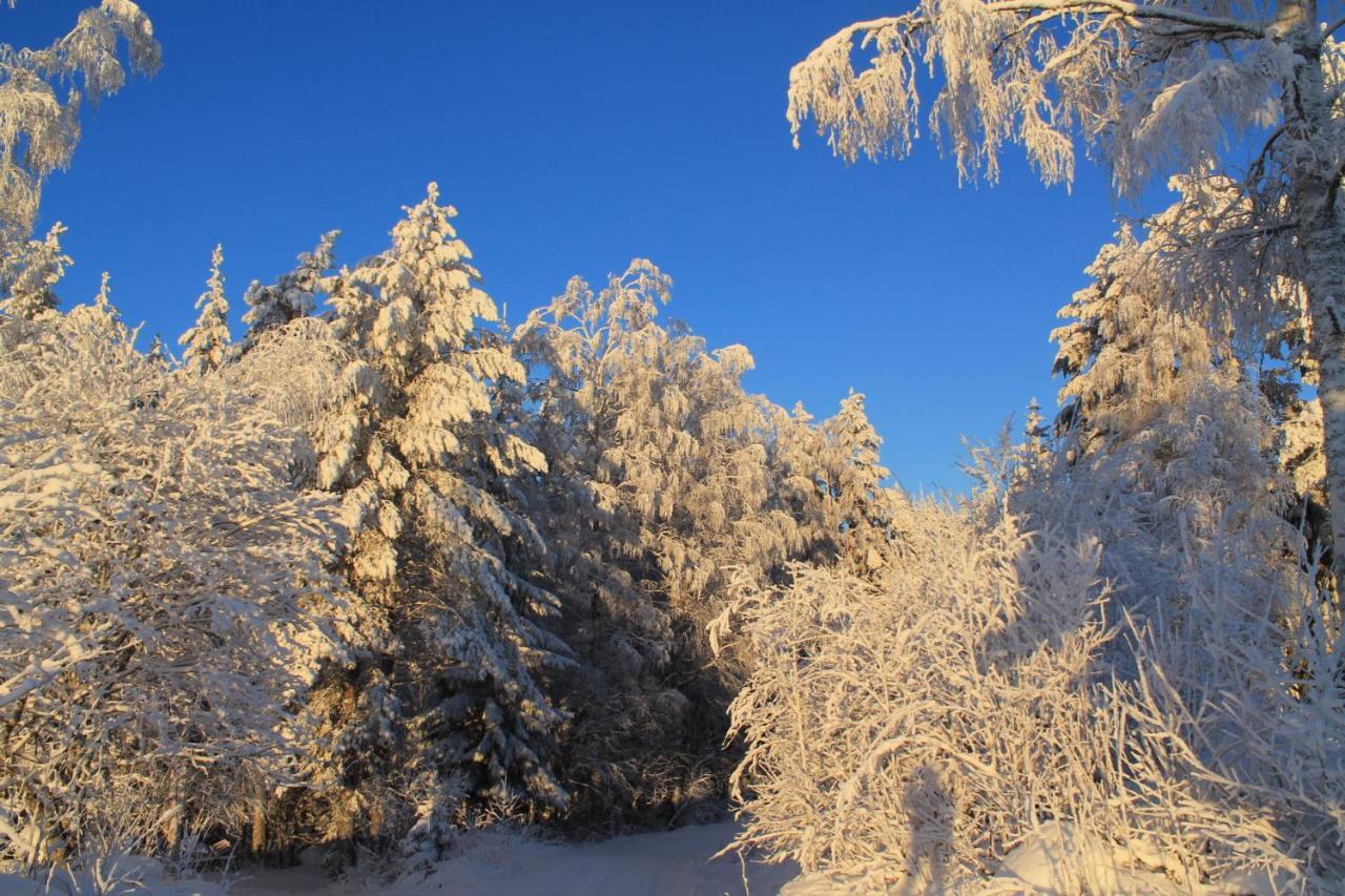Maatilamatkailu Jaenisvaara Kolinkylä Esterno foto