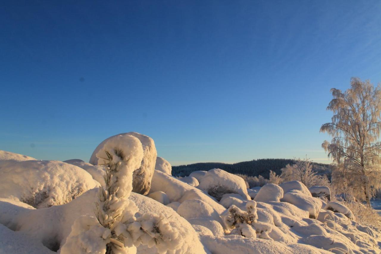 Maatilamatkailu Jaenisvaara Kolinkylä Esterno foto